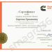 Сертификаты