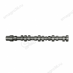 3929039 Вал распределительный 3.9